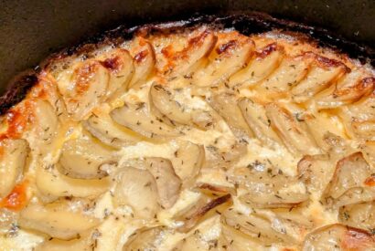 Thumbnail for Kürbis-Mozzarella-Gratin